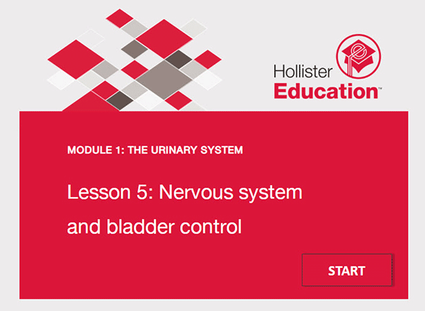 Urinary System Lesson